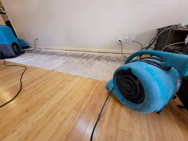 Professional Water Damage Repair technician working in Woodway, WA